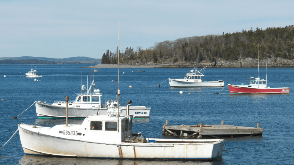 A scenic view of several boats anchored in a Maine harbor, with a natural shoreline and trees in the background.